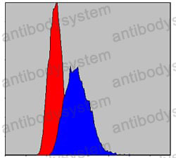 Anti-IRAK4 Antibody (R3W99)