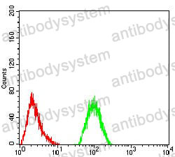 Anti-IL1RAPL1 Antibody (R3X07)