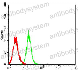 Anti-CD274/PD-L1/B7-H1 Antibody (R3X09)