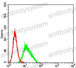 Anti-CD274/PD-L1/B7-H1 Antibody (R3X08)