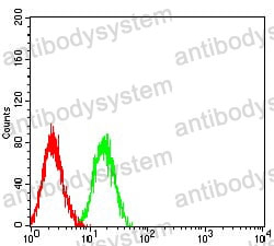 Anti-LRP1B Antibody (R3X10)