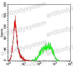 Anti-CLEC1B Antibody (R3X14)
