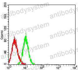 Anti-CD172g/SIRPG Antibody (R3X15)