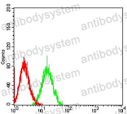 Anti-CD172g/SIRPG Antibody (R3X16)