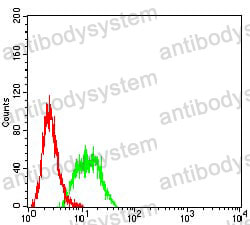 Anti-CD315/PTGFRN/CD9P-1 Antibody (R3X17)
