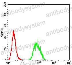 Anti-CD57/B3GAT1 Antibody (R3X18)