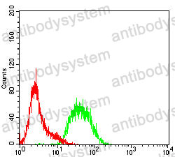 Anti-CD57/B3GAT1 Antibody (R3X21)