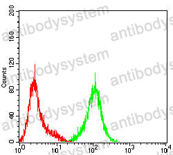 Anti-CD57/B3GAT1 Antibody (R3X22)