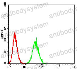 Anti-CD57/B3GAT1 Antibody (R3X19)