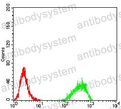 Anti-DNMT3B Antibody (R3X23)