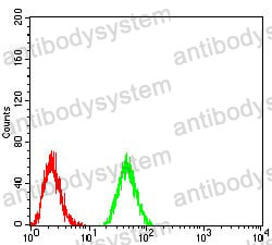 Anti-DNMT3B Antibody (R3X24)