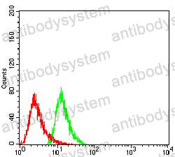 Anti-HDAC6 Antibody (R3X27)