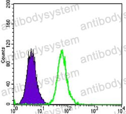 Anti-DKK3 Antibody (R3X28)