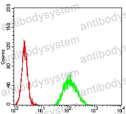 Anti-ADAMTS1 Antibody (R3X36)