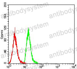 Anti-CD84 Antibody (R3X37)