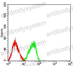 Anti-CD84 Antibody (R3X38)
