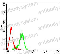 Anti-PLXNA1/Plexin-A1 Antibody (R3X40)