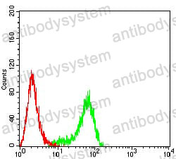 Anti-PLXNA1/Plexin-A1 Antibody (R3X39)