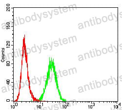 Anti-CD207 Antibody (R3X41)