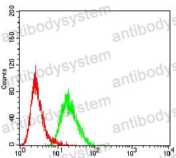 Anti-LEF1 Antibody (R3X43)