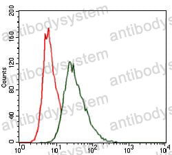 Anti-HSF4 Antibody (R3X46)
