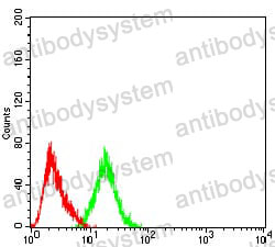 Anti-ASC/TMS1/PYCARD Antibody (R3X48)