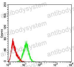 Anti-ASC/TMS1/PYCARD Antibody (R3X47)