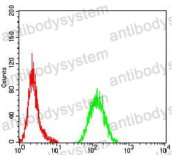 Anti-CD246/ALK Antibody (R3X50)