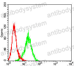 Anti-CD246/ALK Antibody (R3X54)