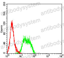 Anti-CD246/ALK Antibody (R3X53)