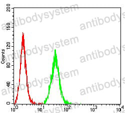 Anti-CD246/ALK Antibody (R3X51)