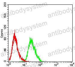 Anti-CD338/ABCG2 Antibody (R3X57)