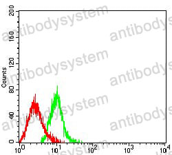 Anti-CD208/LAMP3 Antibody (R3X58)