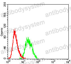 Anti-CD328/SIGLEC7 Antibody (R3X65)