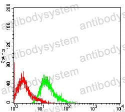 Anti-CD329/SIGLEC9 Antibody (R3X66)