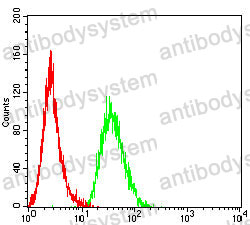 Anti-CCL27/CTACK Antibody (R3X69)