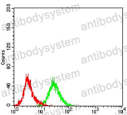 Anti-IRAK3 Antibody (R3X76)