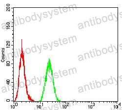 Anti-SIRT4 Antibody (R3X80)