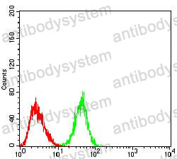 Anti-SIRT4 Antibody (R3X81)