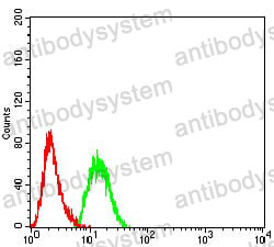 Anti-DNMT3A Antibody (R3X83)