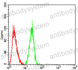 Anti-CD265/TNFRSF11A Antibody (R3X85)