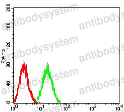 Anti-CD307b/FCRL2/IRTA4 Antibody (R3Y02)