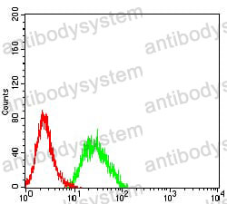 Anti-CD307e/FCRL5 Antibody (R3Y05)