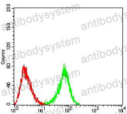 Anti-CD367/CLEC4A Antibody (R3Y07)