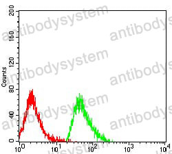 Anti-CD368/CLEC4D Antibody (R3Y08)