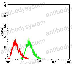 Anti-CD368/CLEC4D Antibody (R3Y09)