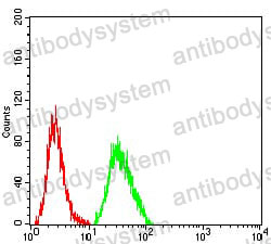 Anti-CD369/CLEC7A Antibody (R3Y11)