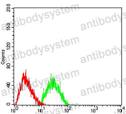 Anti-CD369/CLEC7A Antibody (R3Y10)