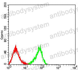 Anti-CD370/CLEC9A Antibody (R3Y13)