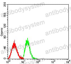 Anti-CD370/CLEC9A Antibody (R3Y12)